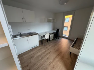 Habitación privada en Anton-Bruckner-Straße, imagen 14 de 15
