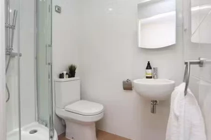 Quarto privado em Parham Rd, Canterbury CT1 1YN, United Kingdom, imagem 61 de 114