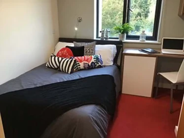 Quarto privado em Parham Rd, Canterbury CT1 1YN, United Kingdom, imagem 64 de 114