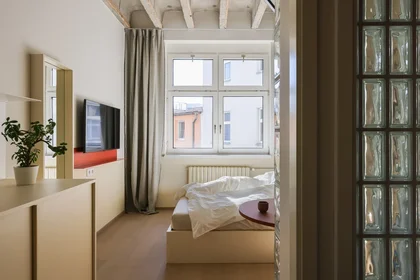 Całe miejsce Špitálska 2256/61, obraz 1 10