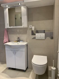 Entire apartment at Gospodar Jovanova, image 12 of 17