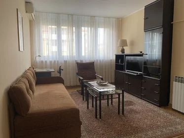 Entire apartment at Gospodar Jovanova, image 14 of 17