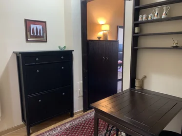 Entire apartment at Gospodar Jovanova, image 4 of 17