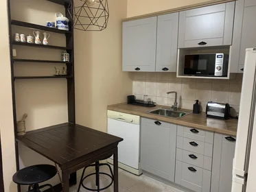 Entire apartment at Gospodar Jovanova, image 5 of 17