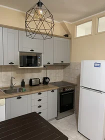 Entire apartment at Gospodar Jovanova, image 6 of 17