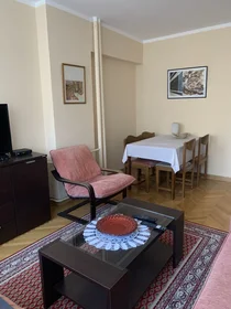 Entire apartment at Gospodar Jovanova, image 7 of 17