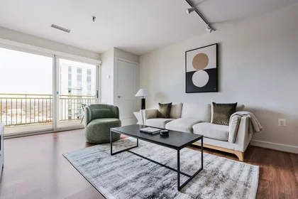 Appartamento intero in 9th Street North, University Heights, immagine 1 di 10