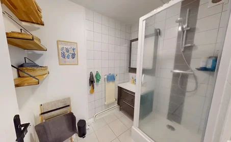 Privatzimmer in der Rue Sully, Côtes de Clermont, bild 10 von 10