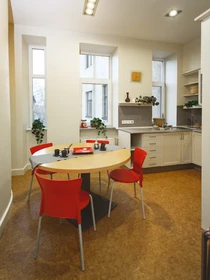 Quarto privado em Dzirnavu iela, Centra rajons, imagem 9 de 10