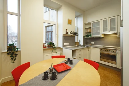 Quarto privado em Dzirnavu iela, Centra rajons, imagem 10 de 10