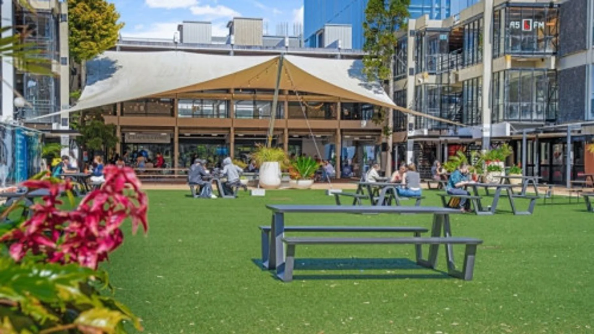 Affordable room for students with ample lighting in 