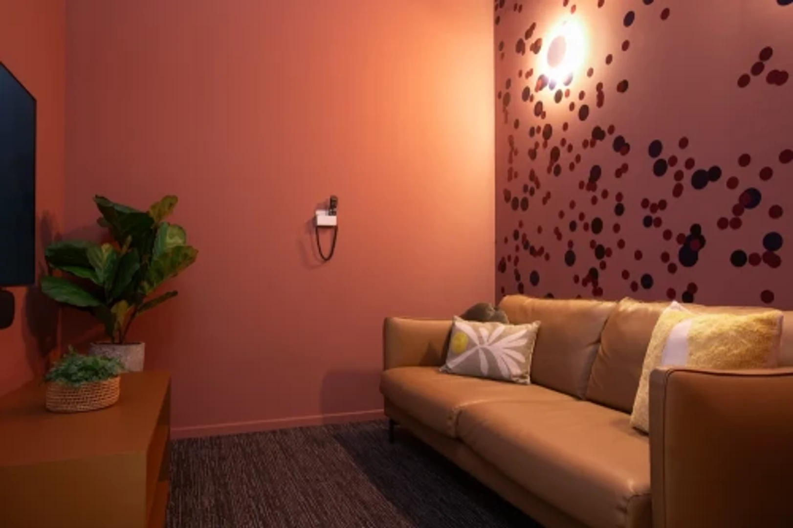 功能齐全的学生公寓，非常适合在学习