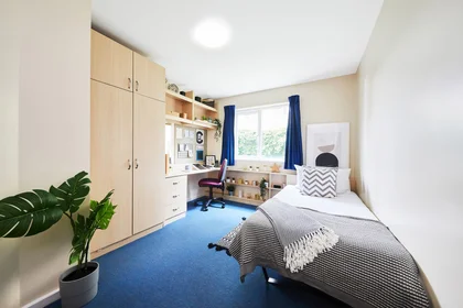 Private room at Collegiate Upper Quay House Gloucester GL1 2JD, image 6 of 12