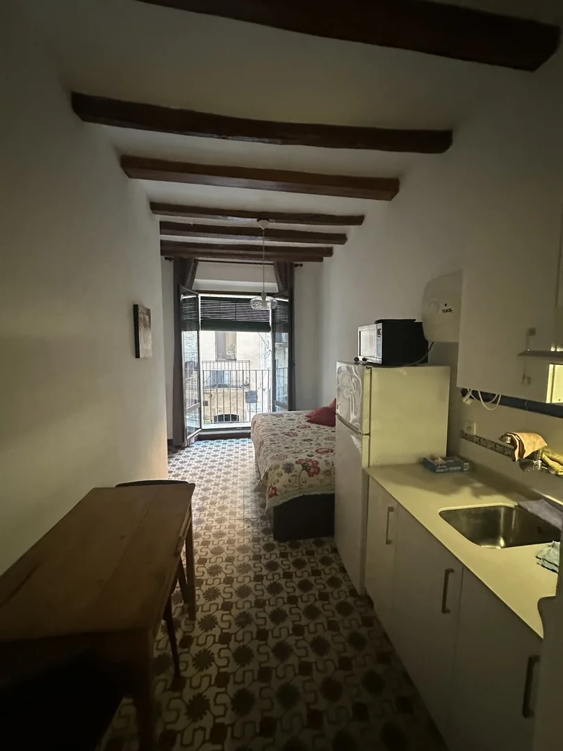 carrer sant domenech 23