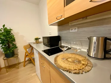 Dairenin tamamı konumu Janského 544/5, 3 8 görüntüsü