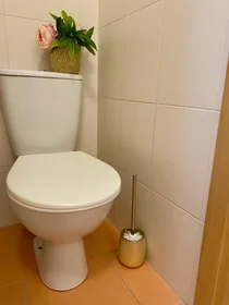 Dairenin tamamı konumu Janského 544/5, 8 8 görüntüsü