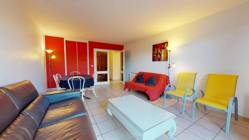 Chambre privée à 118 Boulevard Joffre, image 33 de 49