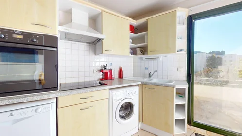 Chambre privée à 118 Boulevard Joffre, image 36 de 49