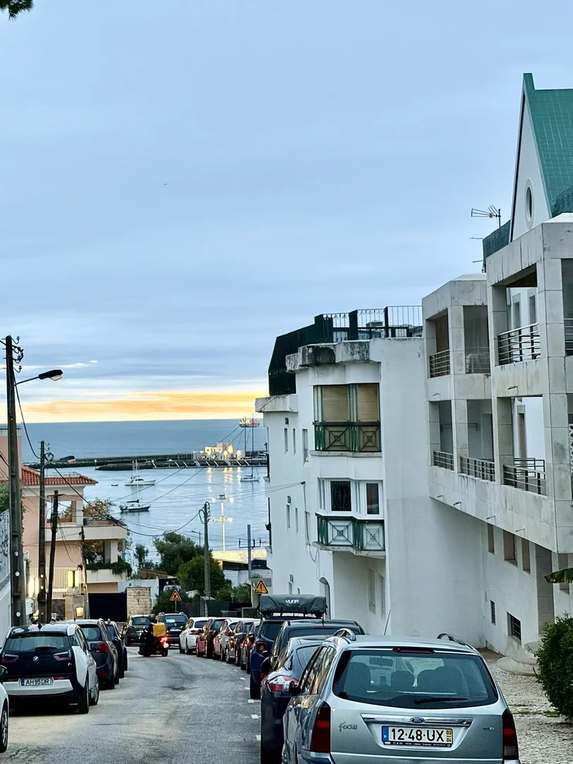 Avenida Brasil  113