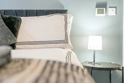Apartamento inteiro em 159A Hagley Road, imagem 12 de 37