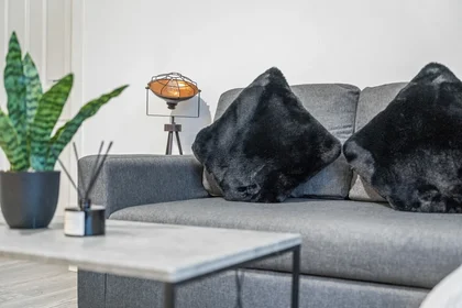Apartamento inteiro em 159A Hagley Road, imagem 17 de 37
