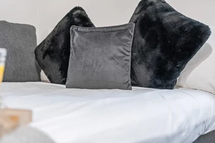 Apartamento inteiro em 159A Hagley Road, imagem 20 de 37