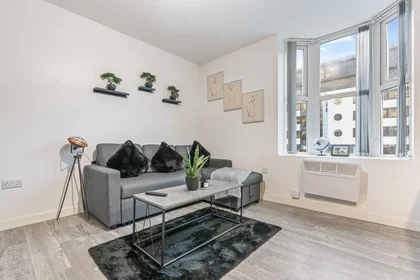 Apartamento inteiro em 159A Hagley Road, imagem 3 de 37