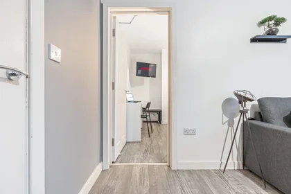 Apartamento inteiro em 159A Hagley Road, imagem 35 de 37