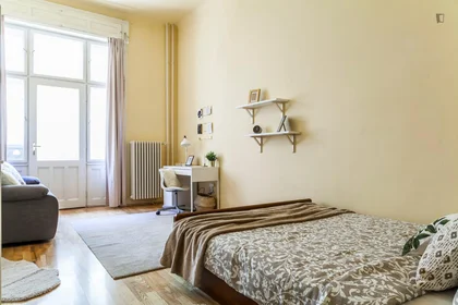 Stanza privata in Akácfa utca, immagine 1 di 32