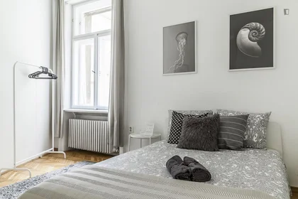 Privatzimmer in der Október 6. utca, bild 2 von 49