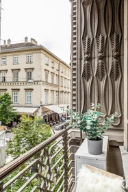 Privatzimmer in der Október 6. utca, bild 34 von 49
