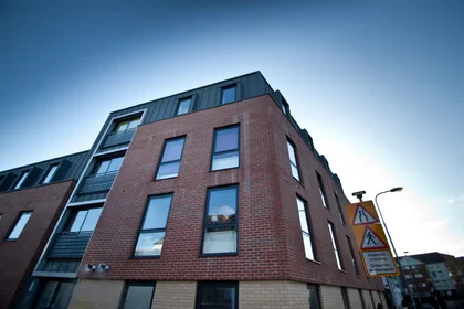单间公寓 在 12-16 Salisbury Road, 20的图像13
