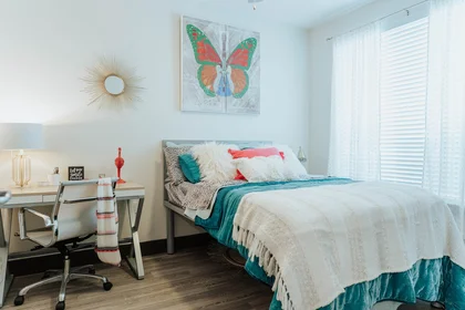 Studio at 2518 Leon Street, image 9 of 20