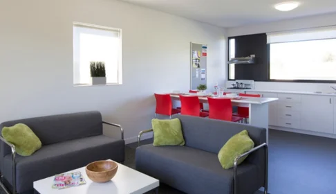 Estudio en 23 Brian Smith Dr, Campbelltown, imagen 18 de 19