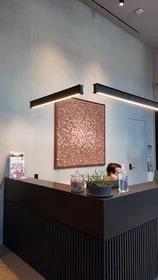 Estudio en 633 South La Salle Street, imagen 6 de 20