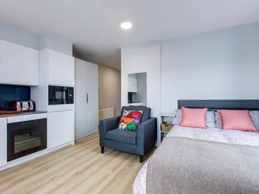 Studio at Gardiner Street Lower Dublin 1, image 15 of 18