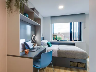 Studio at Gardiner Street Lower Dublin 1, image 8 of 18