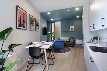 Monolocale in 20 Stoneybatter, immagine 11 di 15