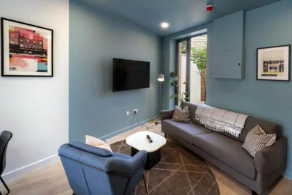 Monolocale in 20 Stoneybatter, immagine 13 di 15