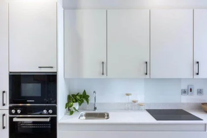 Monolocale in 20 Stoneybatter, immagine 14 di 15