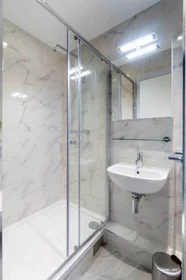 Monolocale in 20 Stoneybatter, immagine 8 di 15