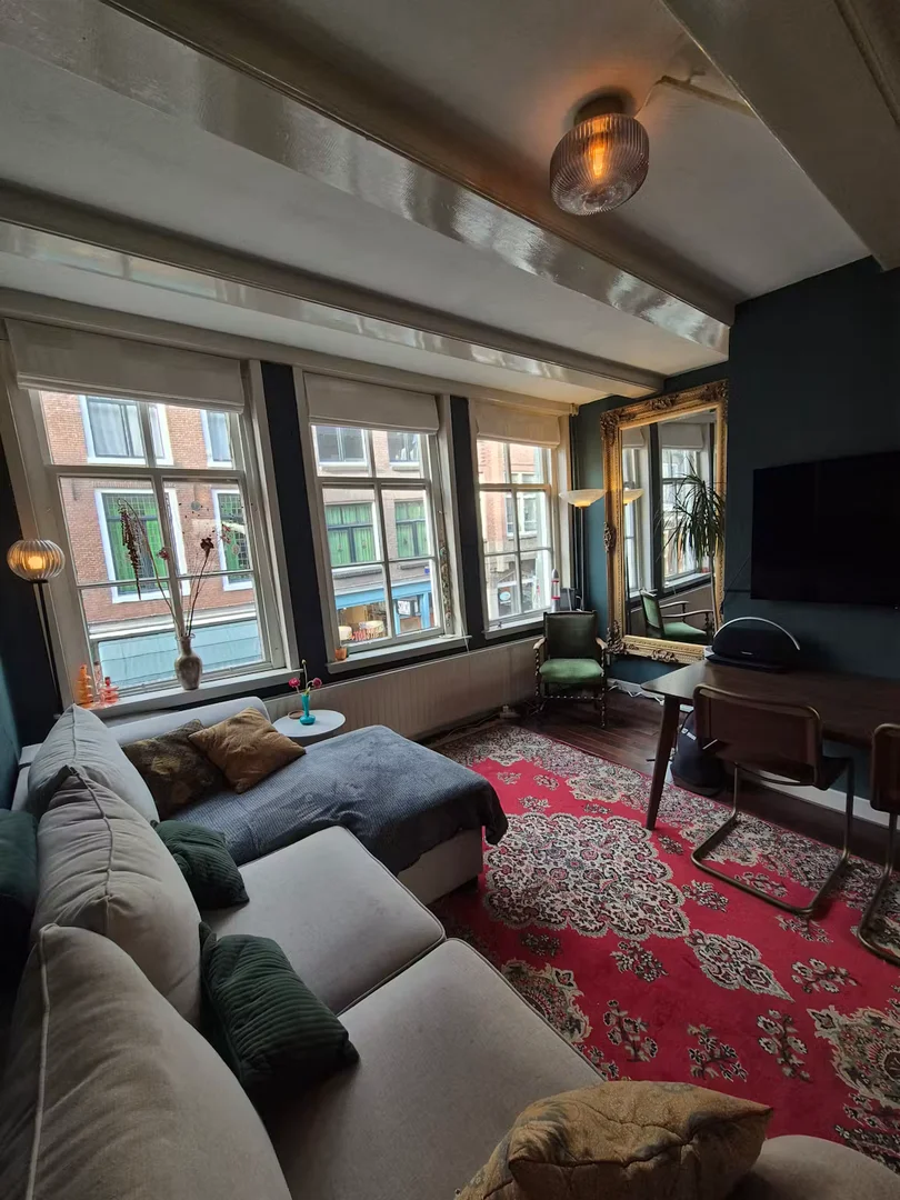 Nieuwe Spiegelstraat, Amsterdam-Centrum