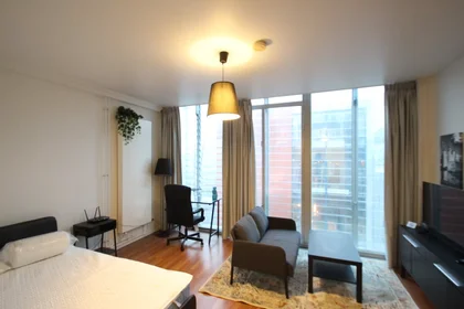Entire apartment at Korte Jansstraat, Centrum, image 1 of 7