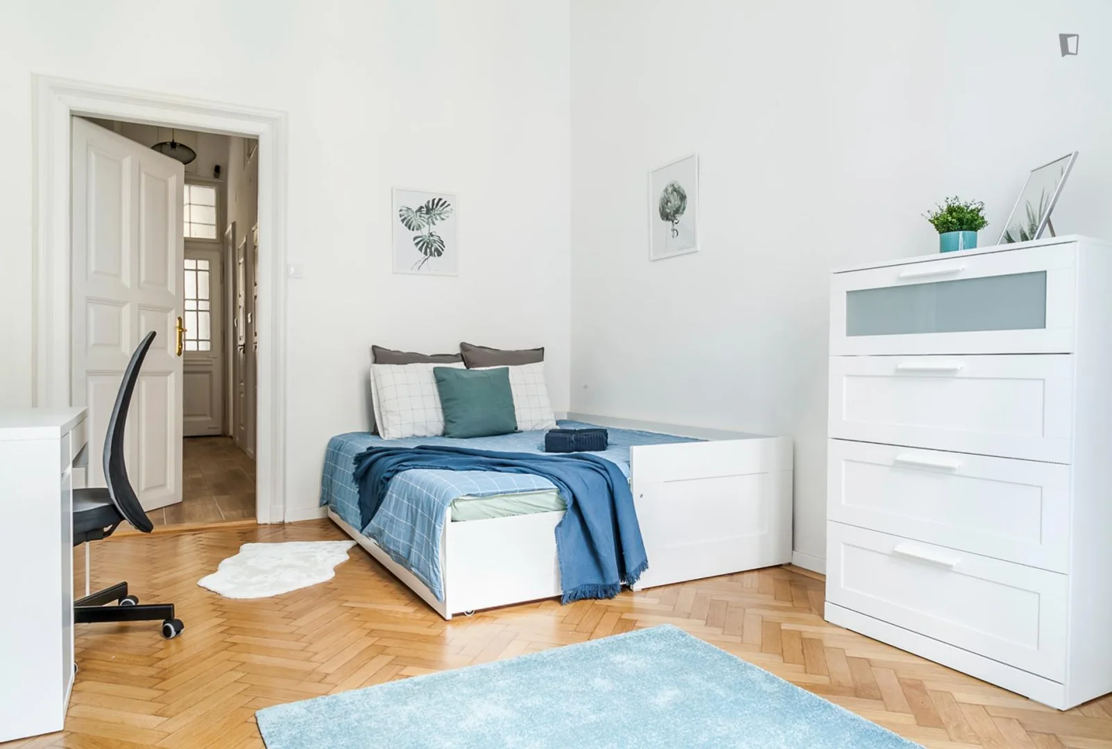 Budget-friendly student room close to campus in 