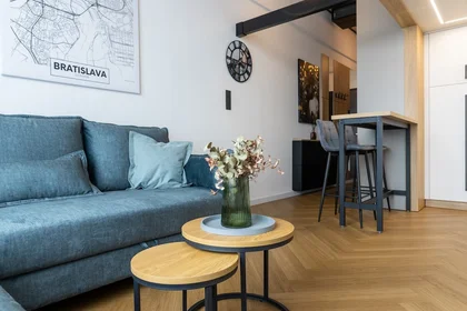 Appartamento intero in Chalupkova 4, immagine 3 di 20