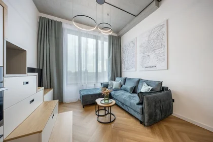 Appartamento intero in Chalupkova 4, immagine 7 di 20