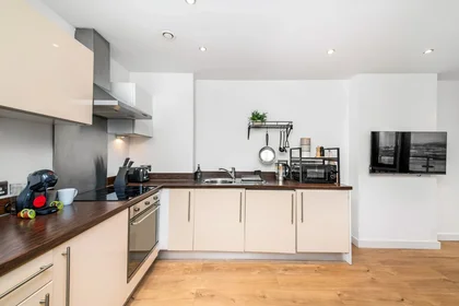 Appartamento intero in 37 Montague Apartment, Gotts Road, immagine 1 di 29
