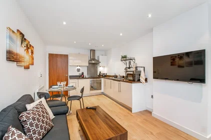 Appartamento intero in 37 Montague Apartment, Gotts Road, immagine 19 di 29