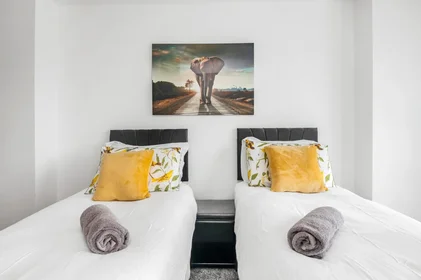 Appartamento intero in 37 Montague Apartment, Gotts Road, immagine 20 di 29
