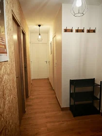 Chambre privée à Angers, 49100, image 14 de 23